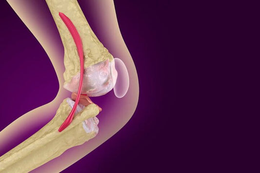 Magnetoterapia nel trattamento dell’osteoporosi