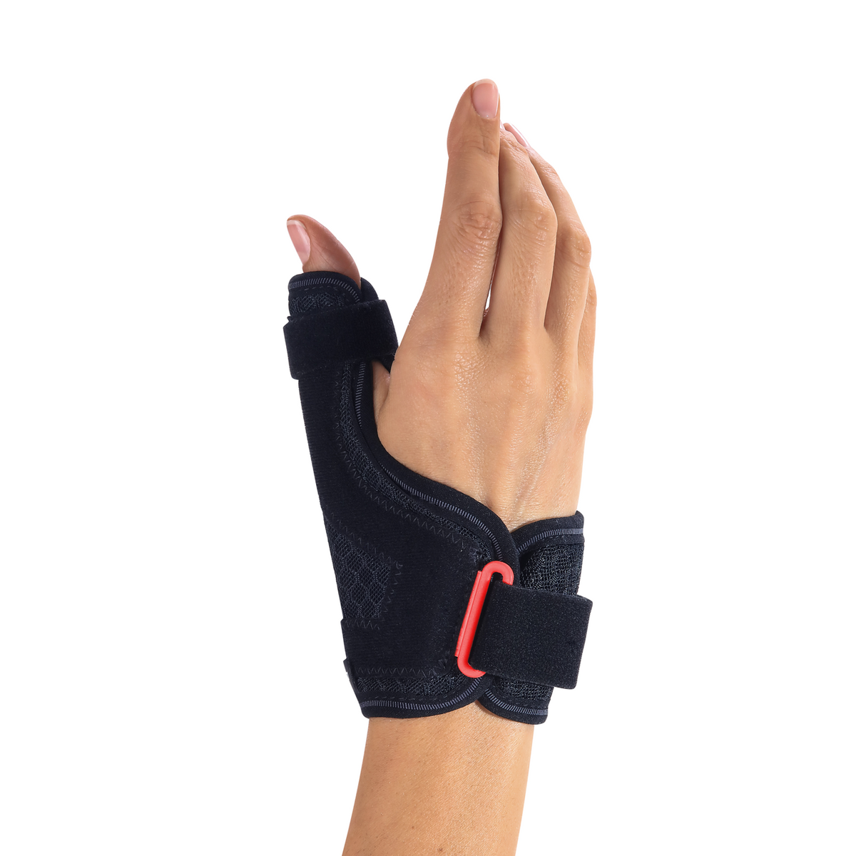 ERGOFORM